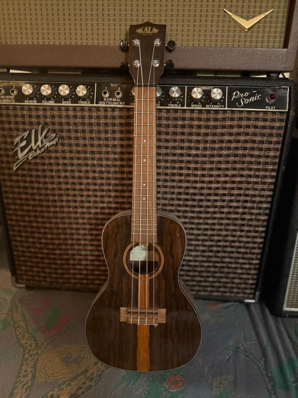 Kala KA-ZCT-C Ziricote Series Concert Ukulele 2010s - High Gloss Natural image 1