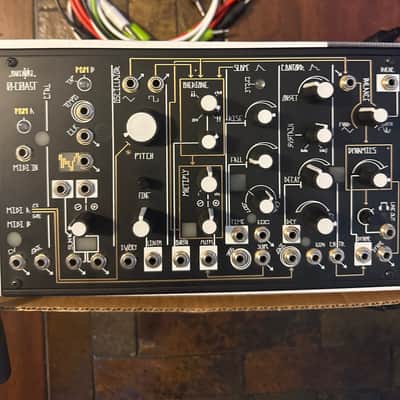 Make Noise 0-Coast Patchable Synthesizer 2008 - Present - Black image 2