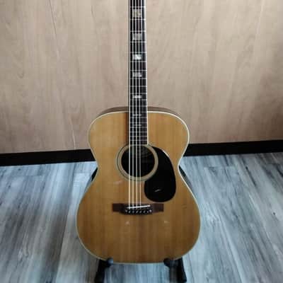 Signet by Selmer FG-401 Acoustic Guitar Made in Japan.....$Just Reduced $ image 2