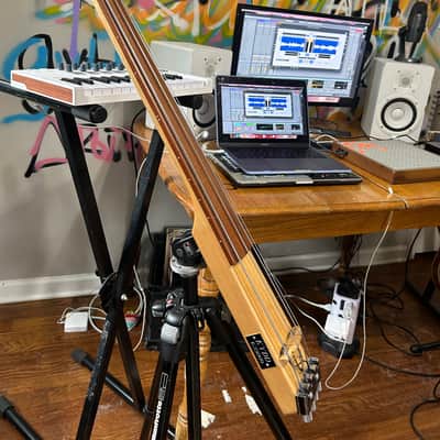 KYDD Electric Upright Bass image 3