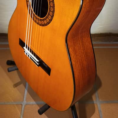 Kasuga G-312 image 13