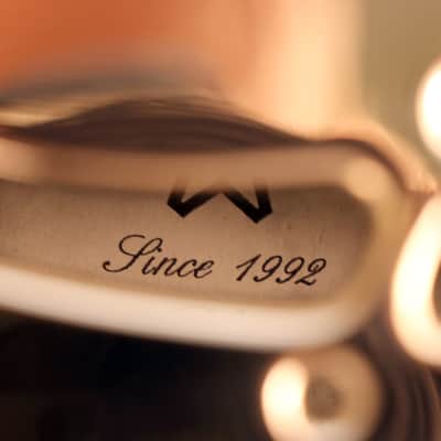 2000 Amistar Style 'N' Resophonic image 18