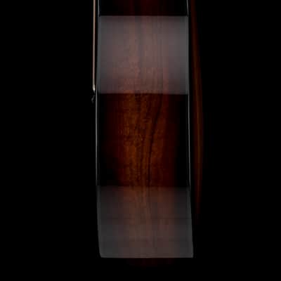 Taylor 224ce-K DLX - Shaded Edgeburst #25359 (Demonstration Model) image 7