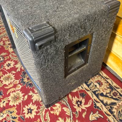 EBS Evolution 300 15" Bass Cab - Grey Ozite image 4