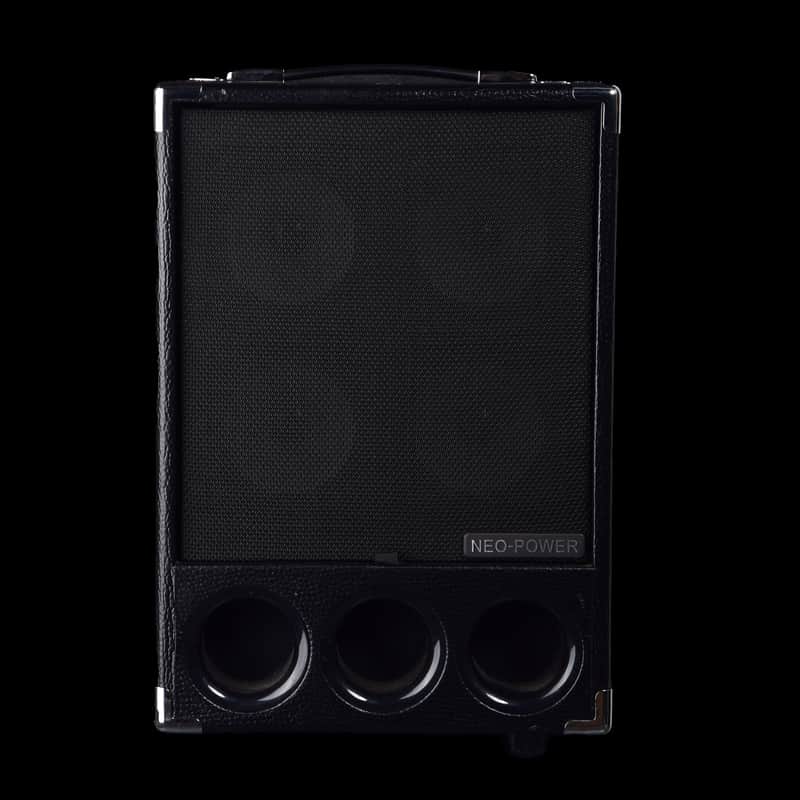 Phil Jones BG-300 Super Flightcase image 1