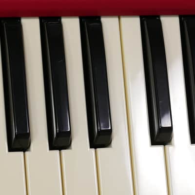 Nord Electro 5D SW61 + Softcase image 15