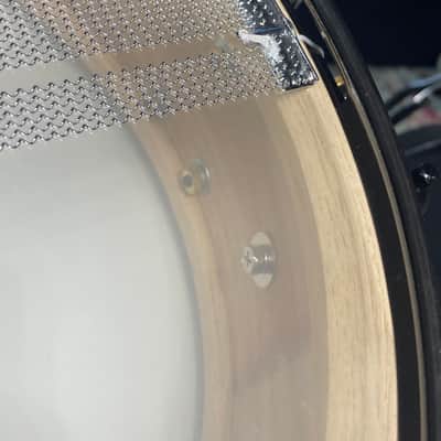 Noble & Cooley - 3.875x14" Special Edition SS-SASSAFRAS Model Snare Drum 2025 - Lacquer over SE Wood image 21