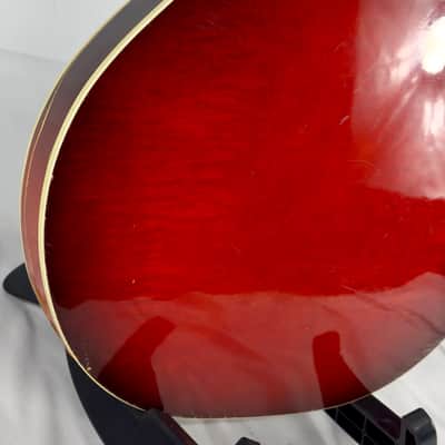 Harmony H-78 Hollow Body Electric Guitar Body  1964 Red Burst image 15