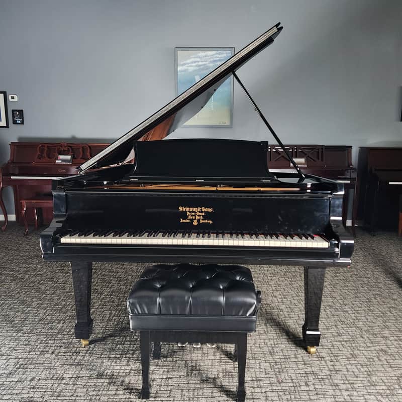 1901 Steinway B Grand Piano Rebuilt by Steinway in 1998 * Free 1st floor Delivery in NJ!* image 1