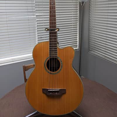 Michael Kelly Acoustic/Electric Bass Guitar image 1