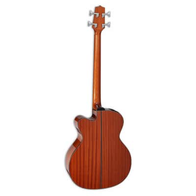Takamine GB30CE Acoustic Bass - Laurel Fingerboard, Natural image 2