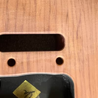 Fender American Professional II Stratocaster guitar body basecoat image 3