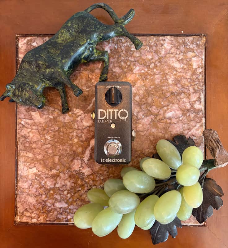 TC Electronic Ditto Looper