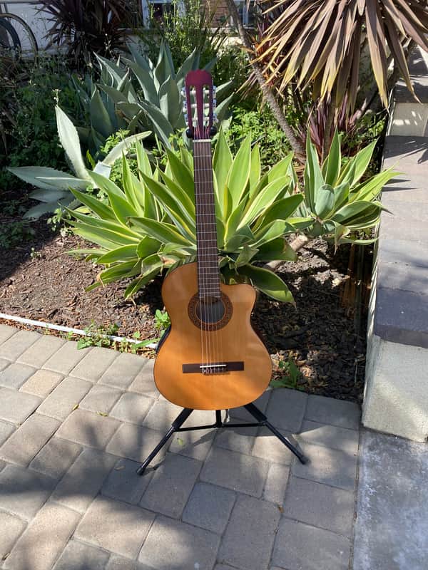 Sunlite Acoustic- Electric Guitar image 1