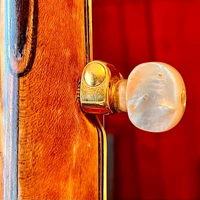 Vega Tubaphone No. 9 Openback Five String Banjo 1923 Maple image 10