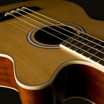 Washburn AB5 | 4-String Acoustic Bass w/ Electronics & Gig Bag. New with Full Warranty! image 4