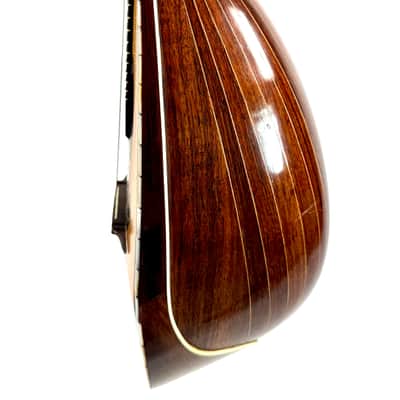 Concert Mandolin Rogis / J. P. Beuscher 1930's image 7