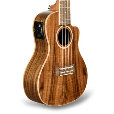 Lanikai Solid Top Acacia Acoustic Electric Cutaway Concert Ukulele +FREE Case | Authorized Dealer image 2