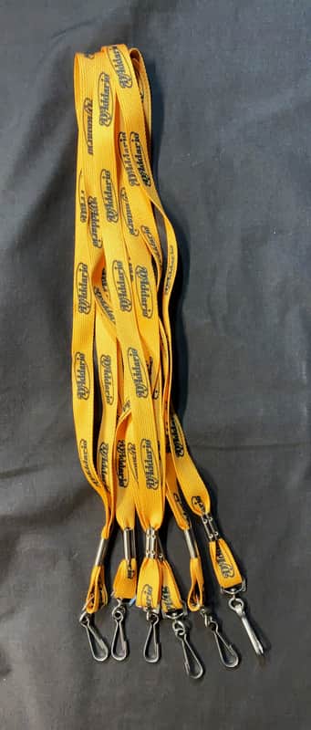 2000's Official 'D'Addario' Concert Pass Lanyards image 1