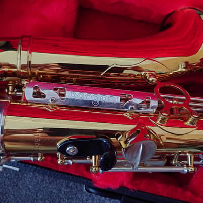 Borgani Vintage Alto Saxophone 1980 - Gold Lacquer with Nickel Silver Keys image 16