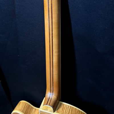 Hofner President Blonde Thinline Guitar - Toaster Diamond Pickups - Sturdy Martin Hard Case - 1961 image 13