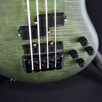 Spector Euro 4 LX - Haunted Moss Matte image 10
