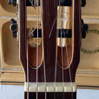 APC Instruments Luthier Gold CW ALL SOLID classical guitar with Cutaway und Fishman Pickup image 10
