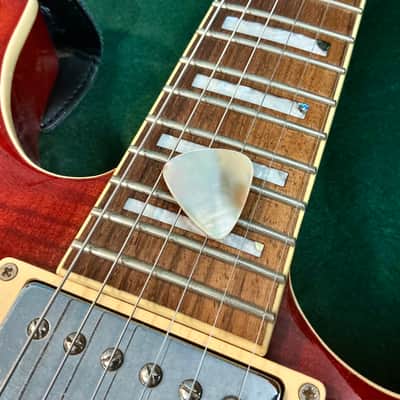Abalone seashell guitar pick-1.3mm, classic size & shape… by BeachSidePicks image 7