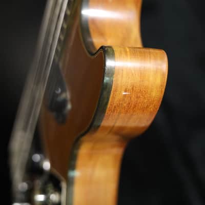 Gibson Les Paul Triumph Bass 1973 Walnut image 8