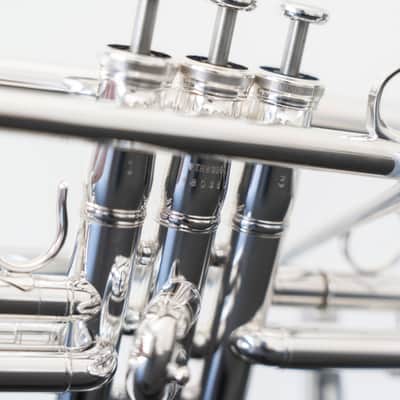 Yamaha YTR-8335GS Xeno Bb Trumpet with Gold Brass Bell (SN 4803xx) image 6