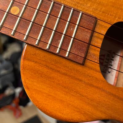 Koaloha Concert Opio 2016 KCO-10 image 4