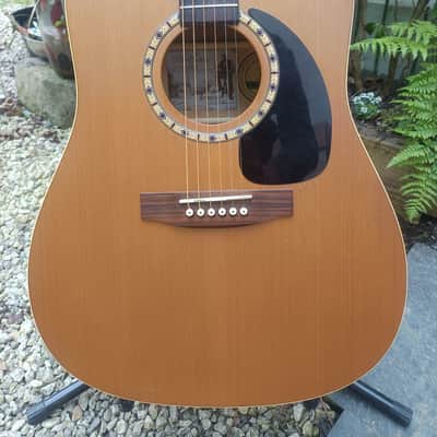 Art & lutherie Cedar 2006 image 1