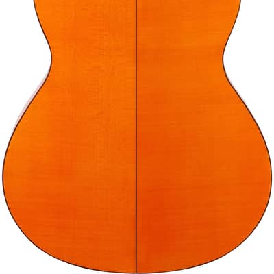 Alhambra 4-F Conservatory Flamenco Guitar (with Gig Bag) image 7