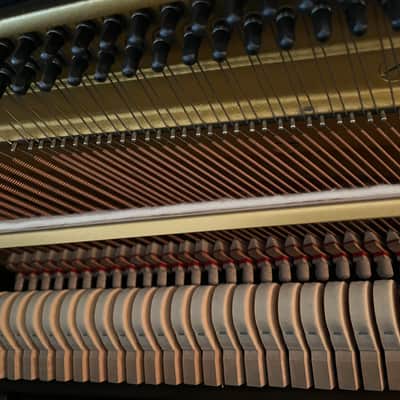 Yamaha A3847071 1985 - Ebony image 16