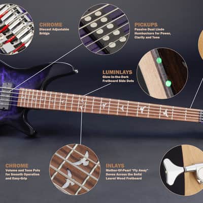 Lindo PDB-5 V2 Purple 5-String Electric Bass Guitar & HARD CASE | Dove Inlays | Unique Graphic Art Finish | Luminlays | High Gloss | Sycamore Body | Laurel Fretboard | 3-Piece Neck image 5