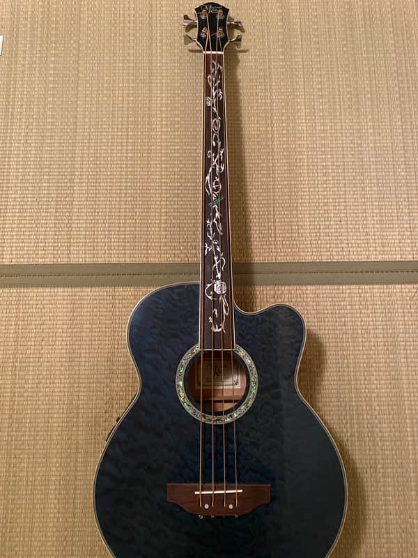 Michael Kelly Dragonfly 4-String Fretless Acoustic Bass image 1