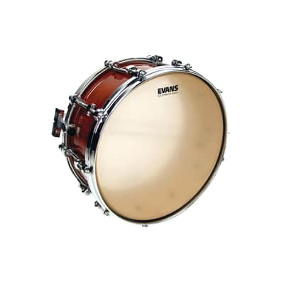 Evans Strata 1000 Concert Drum Head, 14 Inch image 2