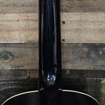 2007 Esteban Spanish Rosas Classical Electronic Acoustic Guitar - Floral image 9