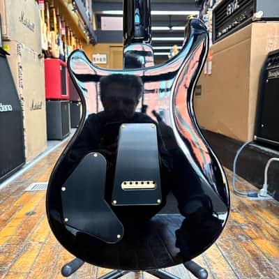 Paul Reed Smith DGT 10-Top Electric Guitar with Bird Inlays 2024 McCarty Tobacco Sunburst w/Hard Case image 3