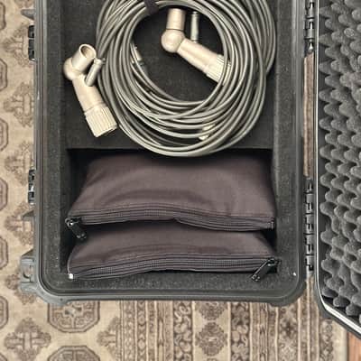 Vintage Neumann U87 Condenser Microphone Matched Stereo Pair! Sequential SN! 1971 U 87 With Swivel Mounts. Rare! image 23