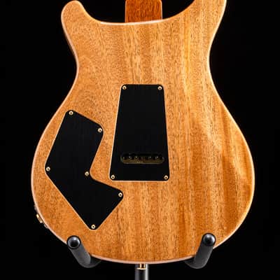 Paul Reed Smith Modern Eagle V Yellow Tiger image 18