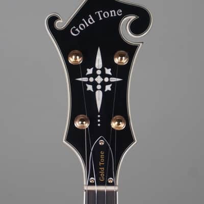 Gold Tone EBM-5 Electric Banjo image 3
