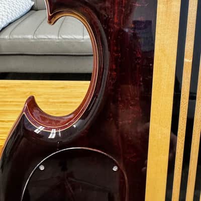 Alembic Series II - The Roman Conqueror 2004 - Cocobolo image 15