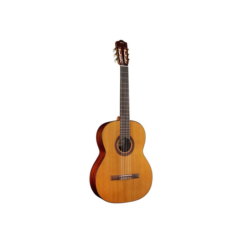 Cordoba C5 6-String Classical Acoustic Guitar (Natural) image 1