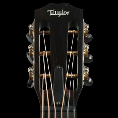 Taylor 312ce 12 Fret (Natural) image 5