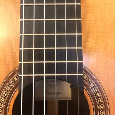 Kolya Panhuyzen Classical Guitar 2012 Cedar/Ziricote image 5