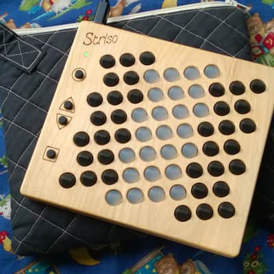 Striso board 2022 image 1