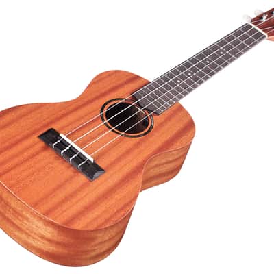 Cordoba Protege U1 Concert Ukulele image 4