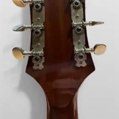 Epiphone FT-200 Bicentennial 1976 - Natural image 5