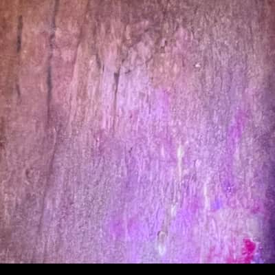 Fender Stratocaster 1962  - SLAB Neck - Gold image 15